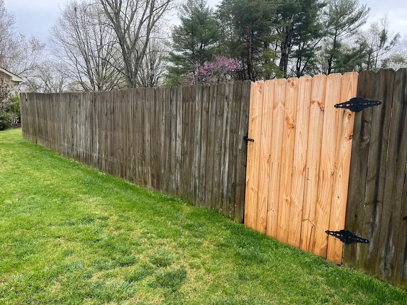Wood Fence Restoration